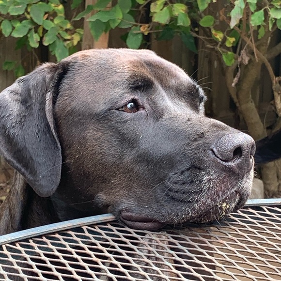 Meet Your Posher - Picture 3 of 3